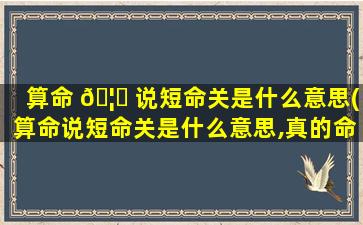 算命 🦄 说短命关是什么意思(算命说短命关是什么意思,真的命很短吗)